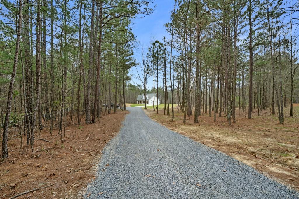 764 Everett Springs Road Calhoun, GA 30701 - Photo 21 of 29