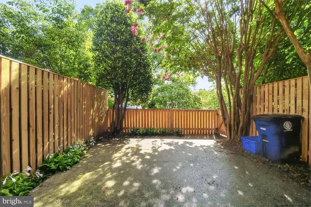 a view of a backyard with large trees and wooden fence