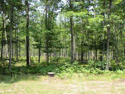2306 Stronach Road Manistee, MI 49660 - Photo 10 of 10 Additional Photo