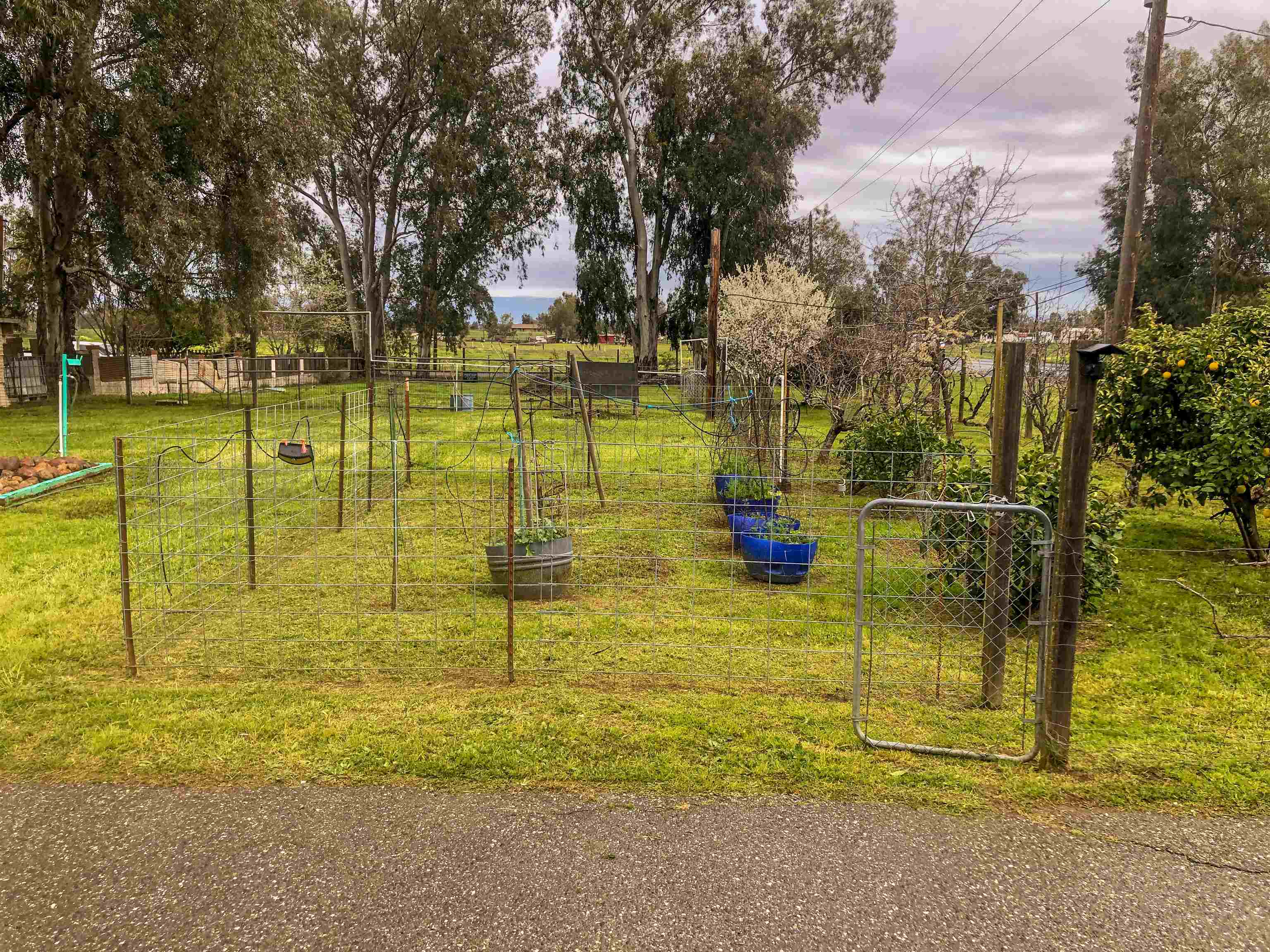 23848 Hoag Road Corning, CA 96021 - Photo 34 of 73