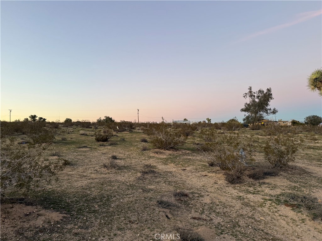 0 Campanula Street Joshua Tree, CA 92252 - Photo 9 of 20