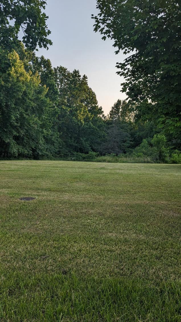 4770 Goddard Road Wallingford, KY 41093 - Photo 3 of 5 image000004