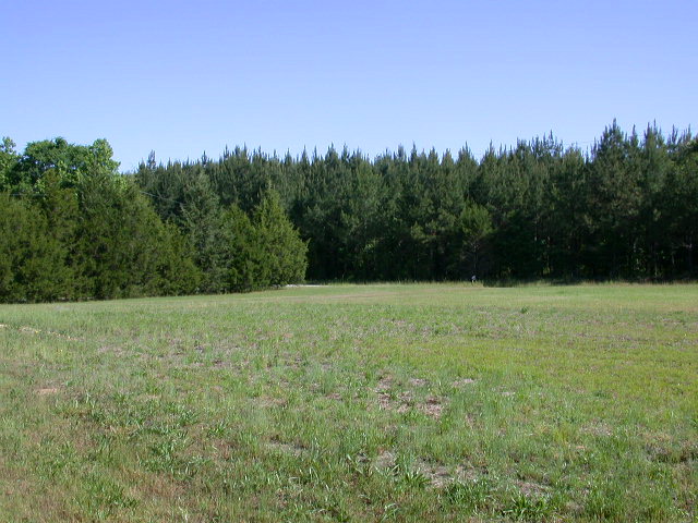 201 Dendy Bridge Road Bradley, SC 29819 - Photo 1 of 1 Gallery Image 1