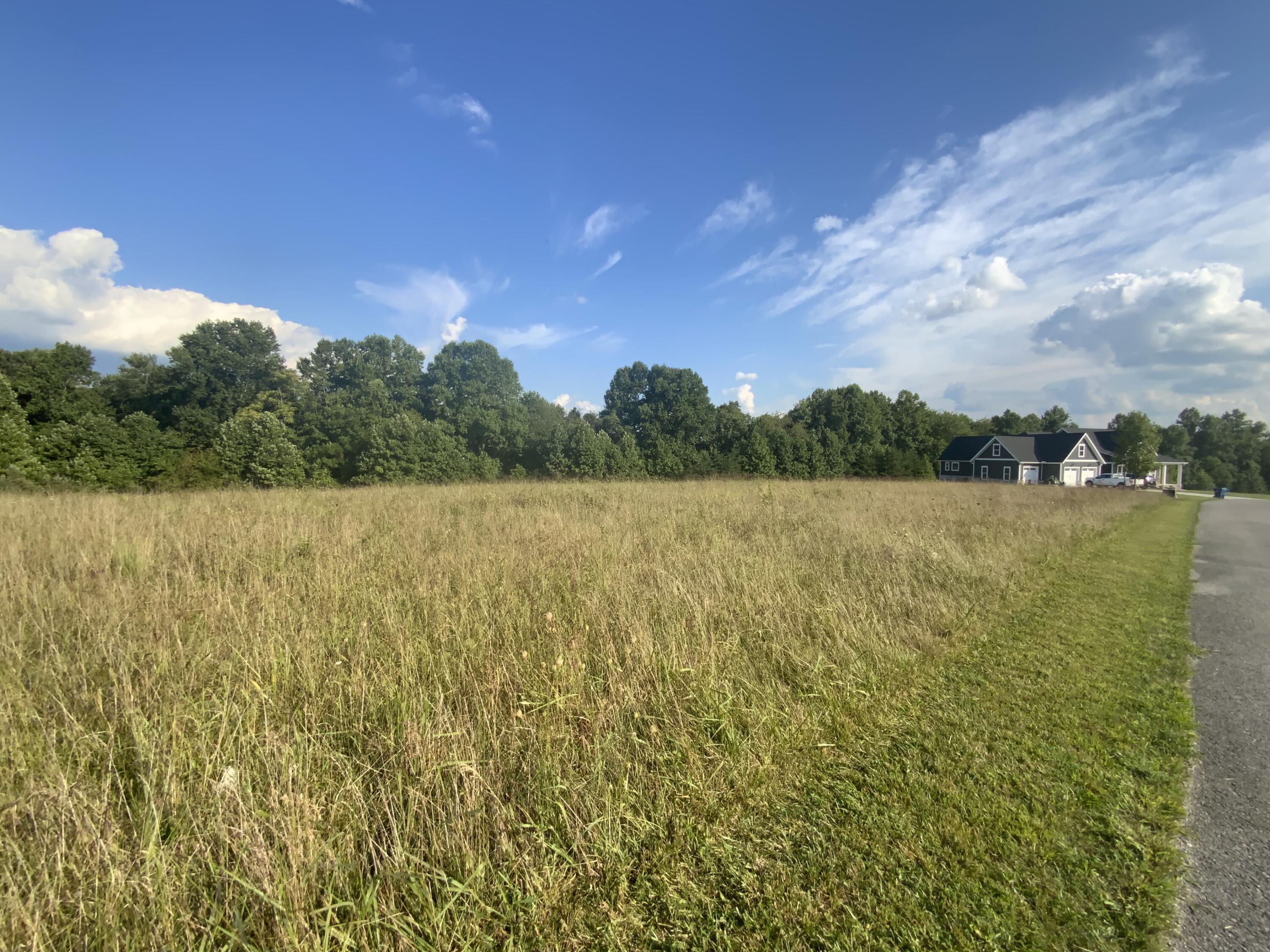Lot #9 Pleasant Ridge Strunk, KY 42649 - Photo 3 of 3 IMG_9950
