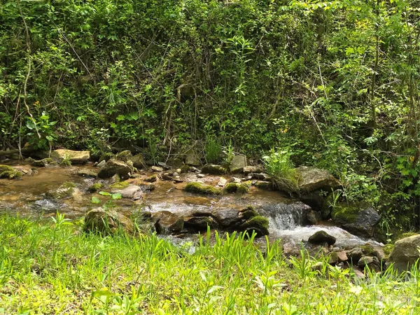 $125,000 | 99999 Roaring Fork Road, Mars Hill, NC 28754
