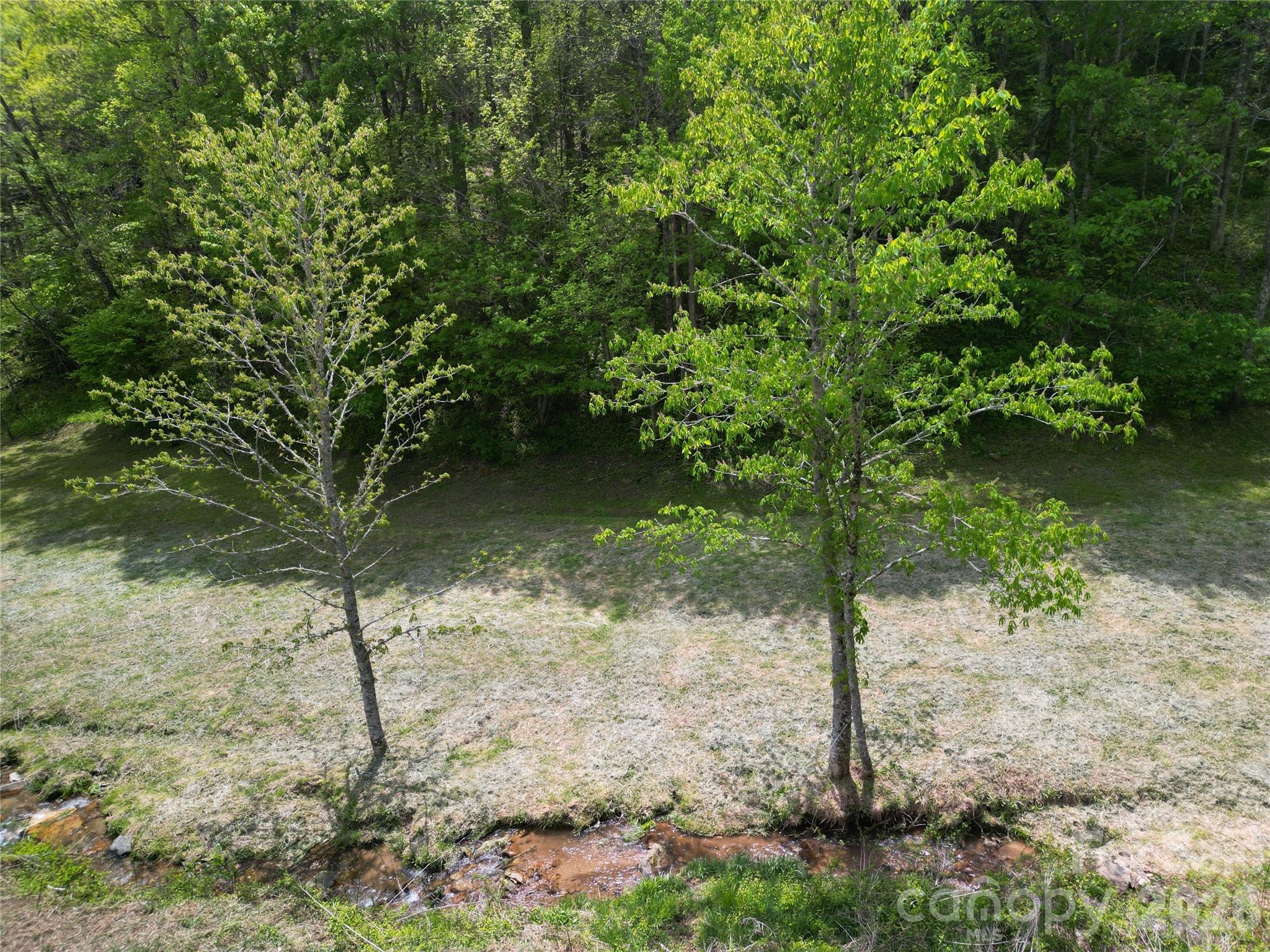 99999 Roaring Fork Road Mars Hill, NC 28754 - Photo 11 of 22