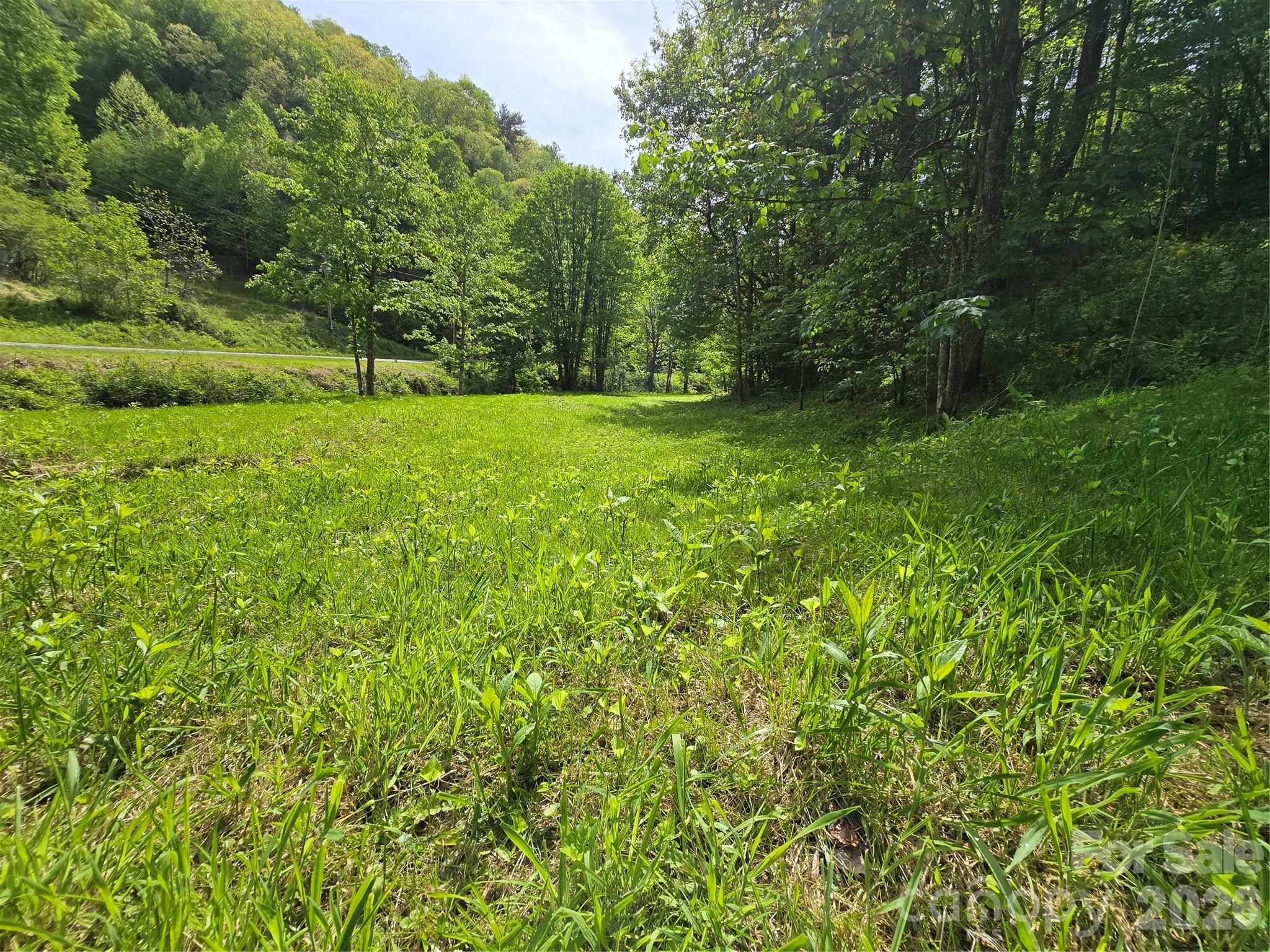 99999 Roaring Fork Road Mars Hill, NC 28754 - Photo 12 of 22