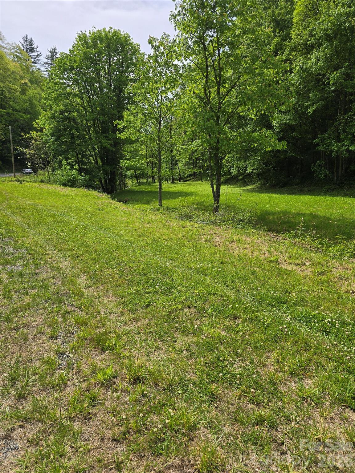 99999 Roaring Fork Road Mars Hill, NC 28754 - Photo 19 of 22