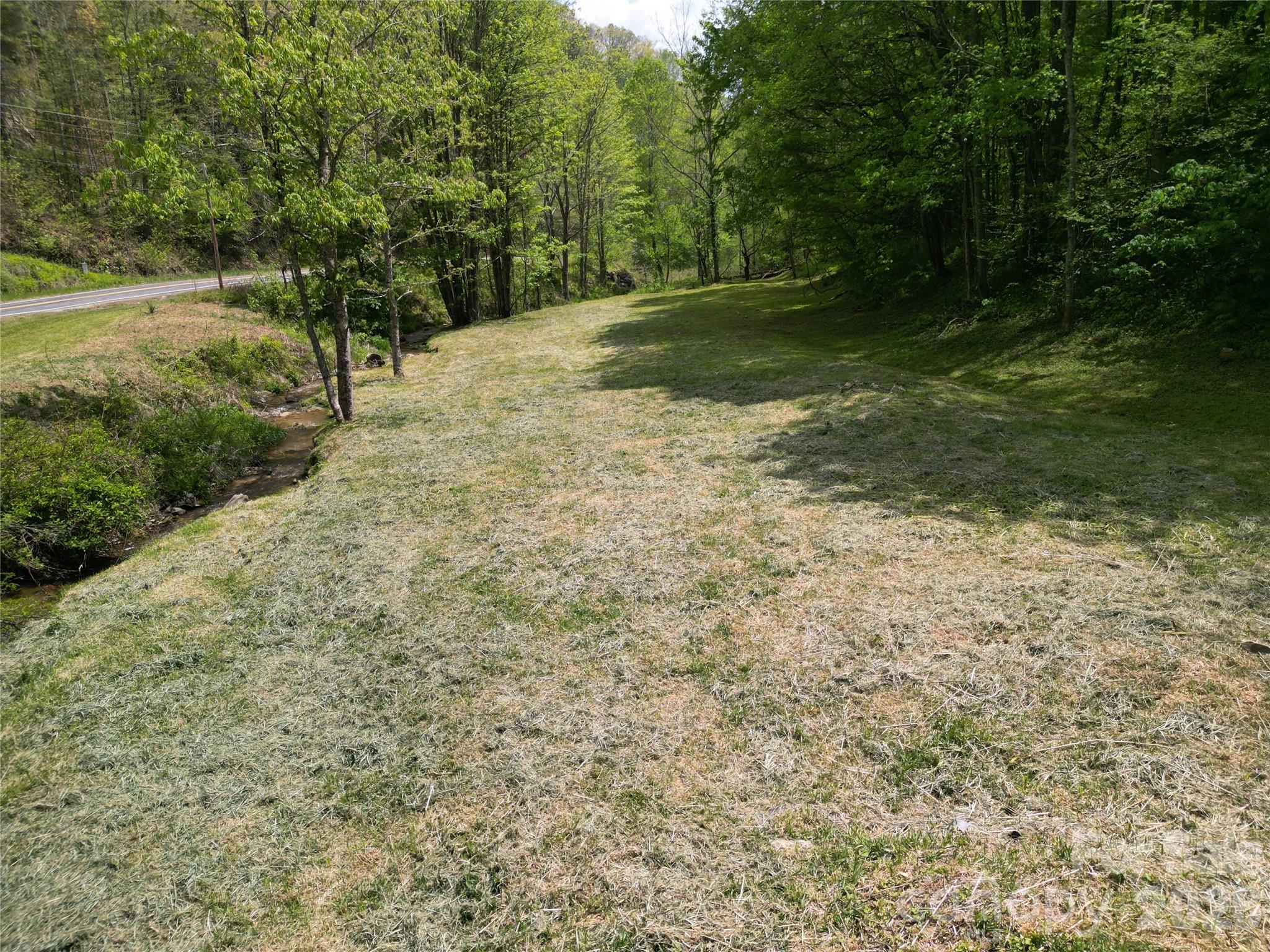 99999 Roaring Fork Road Mars Hill, NC 28754 - Photo 20 of 22