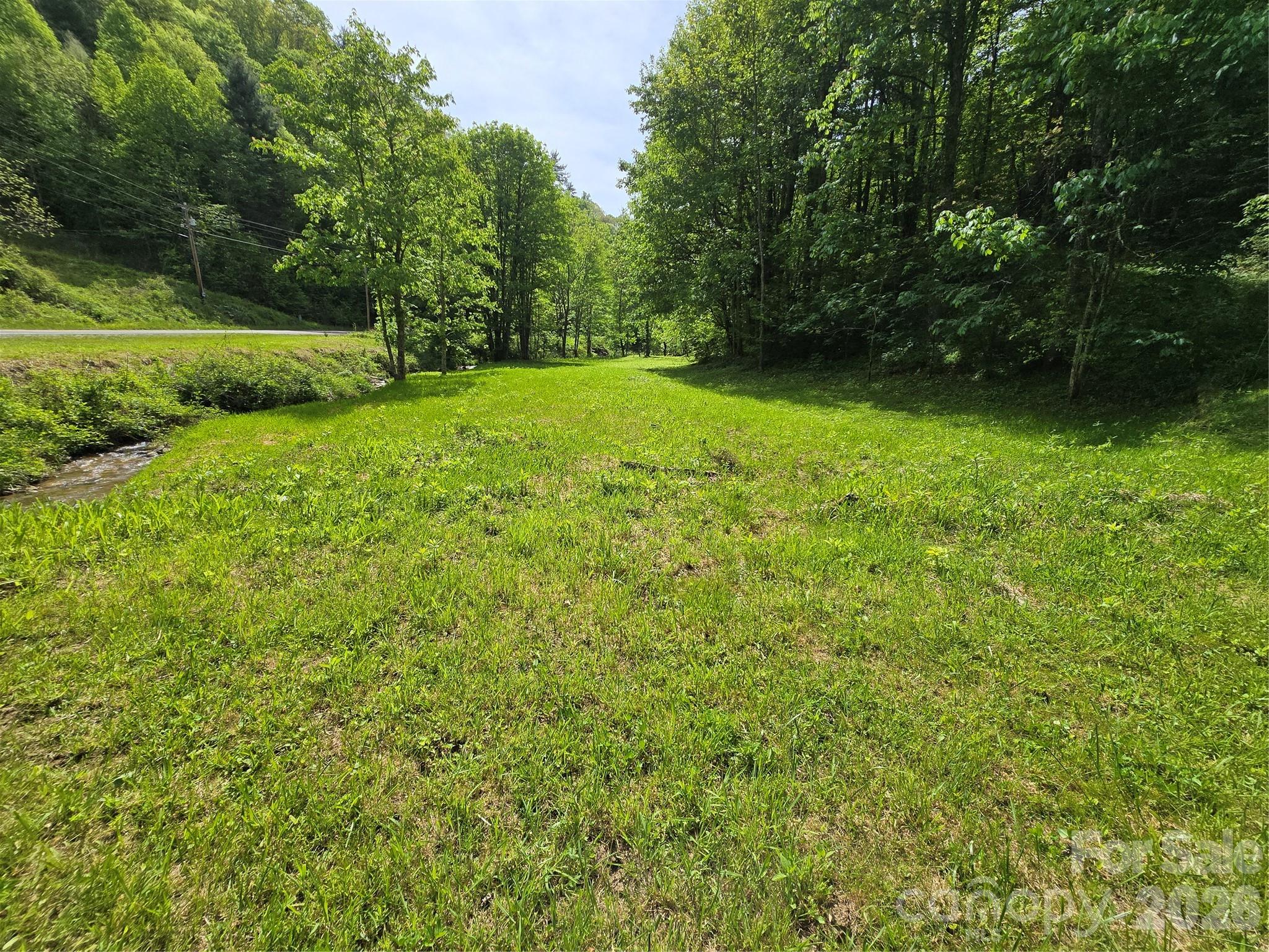 99999 Roaring Fork Road Mars Hill, NC 28754 - Photo 2 of 22