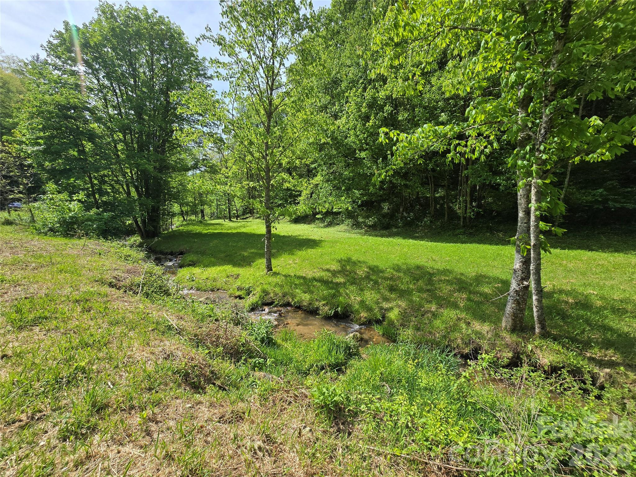 99999 Roaring Fork Road Mars Hill, NC 28754 - Photo 21 of 22