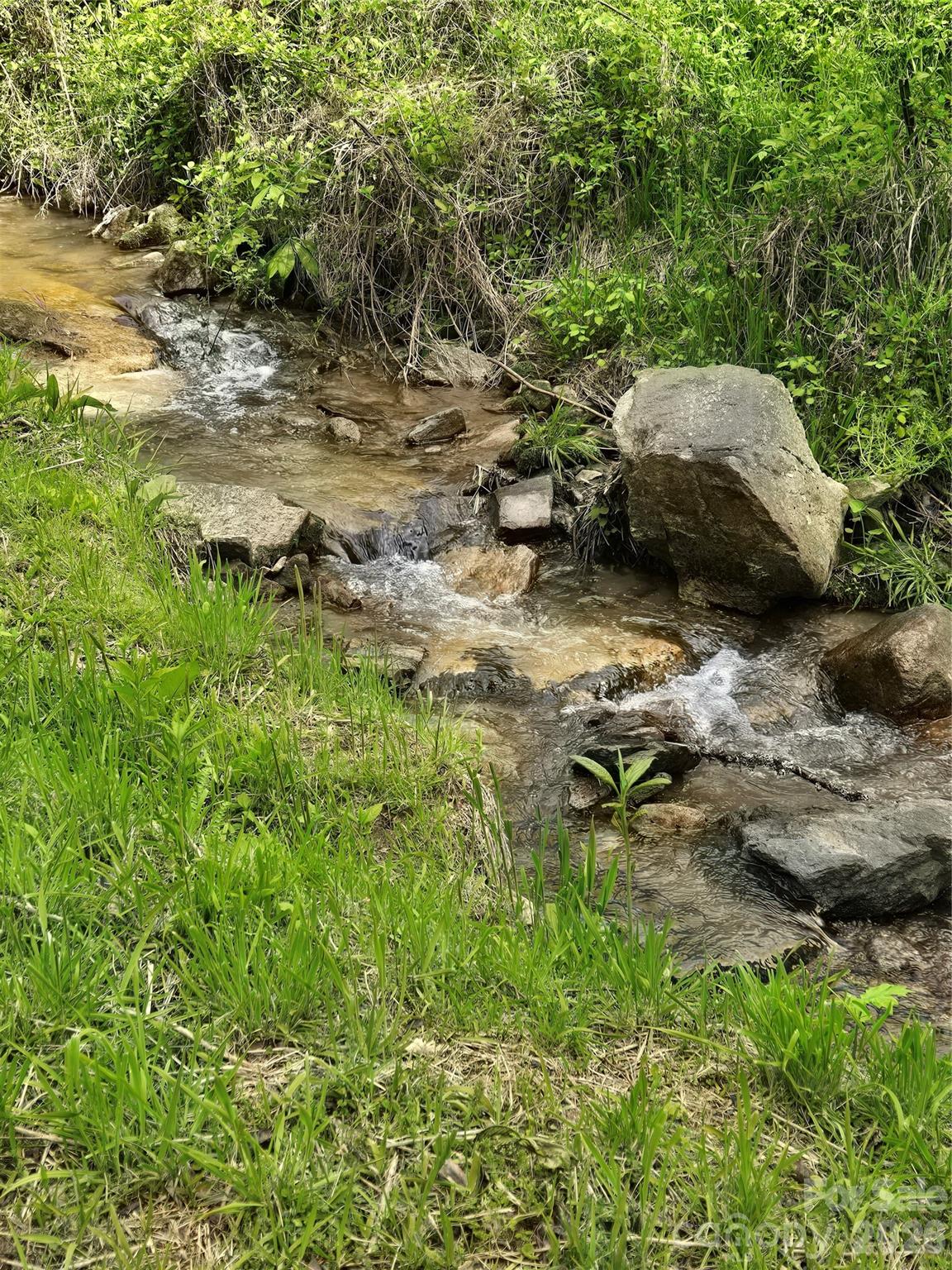 99999 Roaring Fork Road Mars Hill, NC 28754 - Photo 4 of 22
