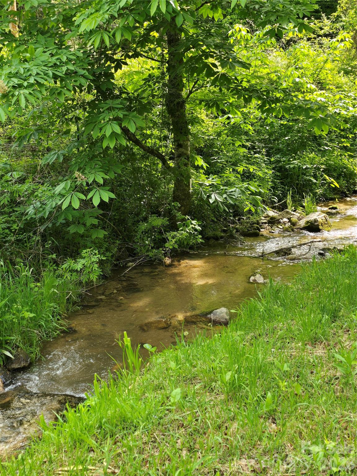 99999 Roaring Fork Road Mars Hill, NC 28754 - Photo 5 of 22
