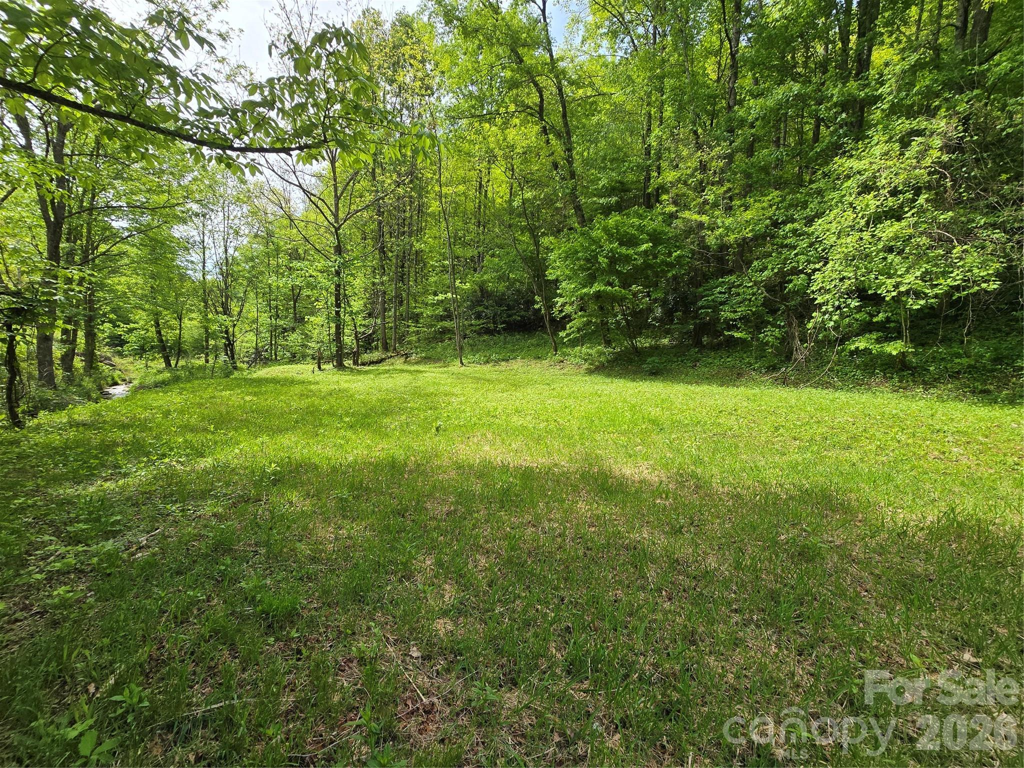 99999 Roaring Fork Road Mars Hill, NC 28754 - Photo 6 of 22