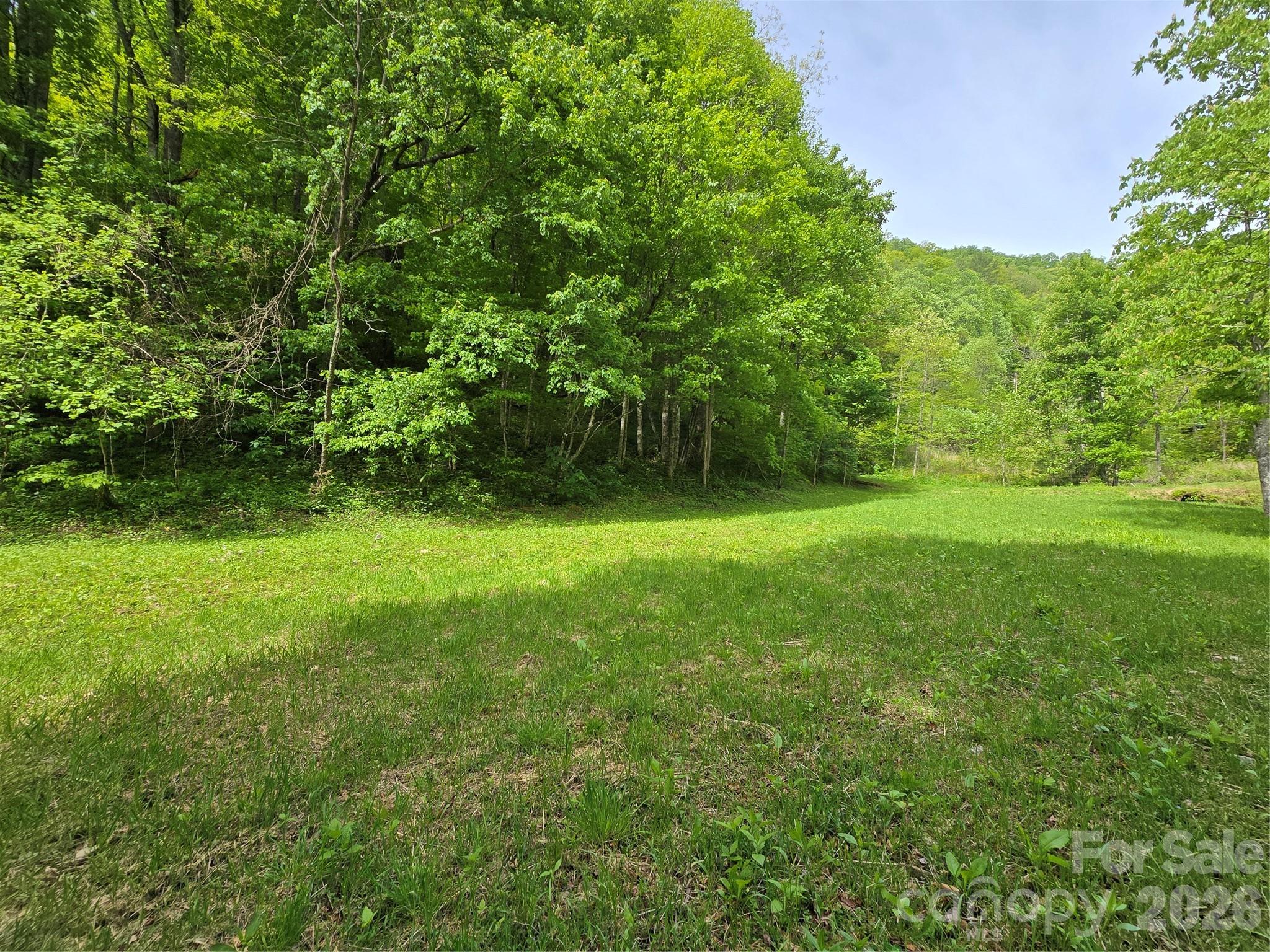99999 Roaring Fork Road Mars Hill, NC 28754 - Photo 7 of 22