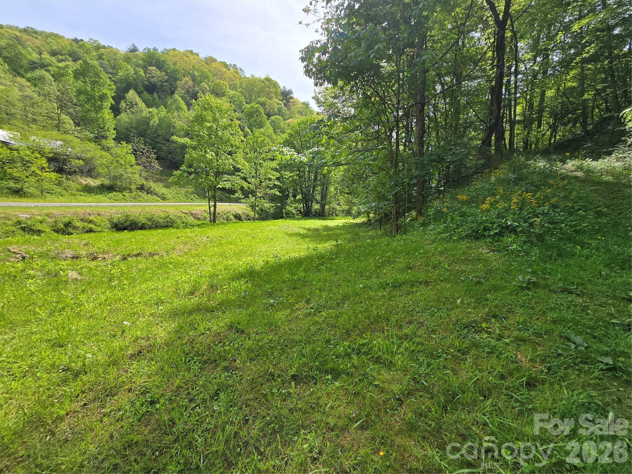 99999 Roaring Fork Road Mars Hill, NC 28754 - Photo 8 of 22