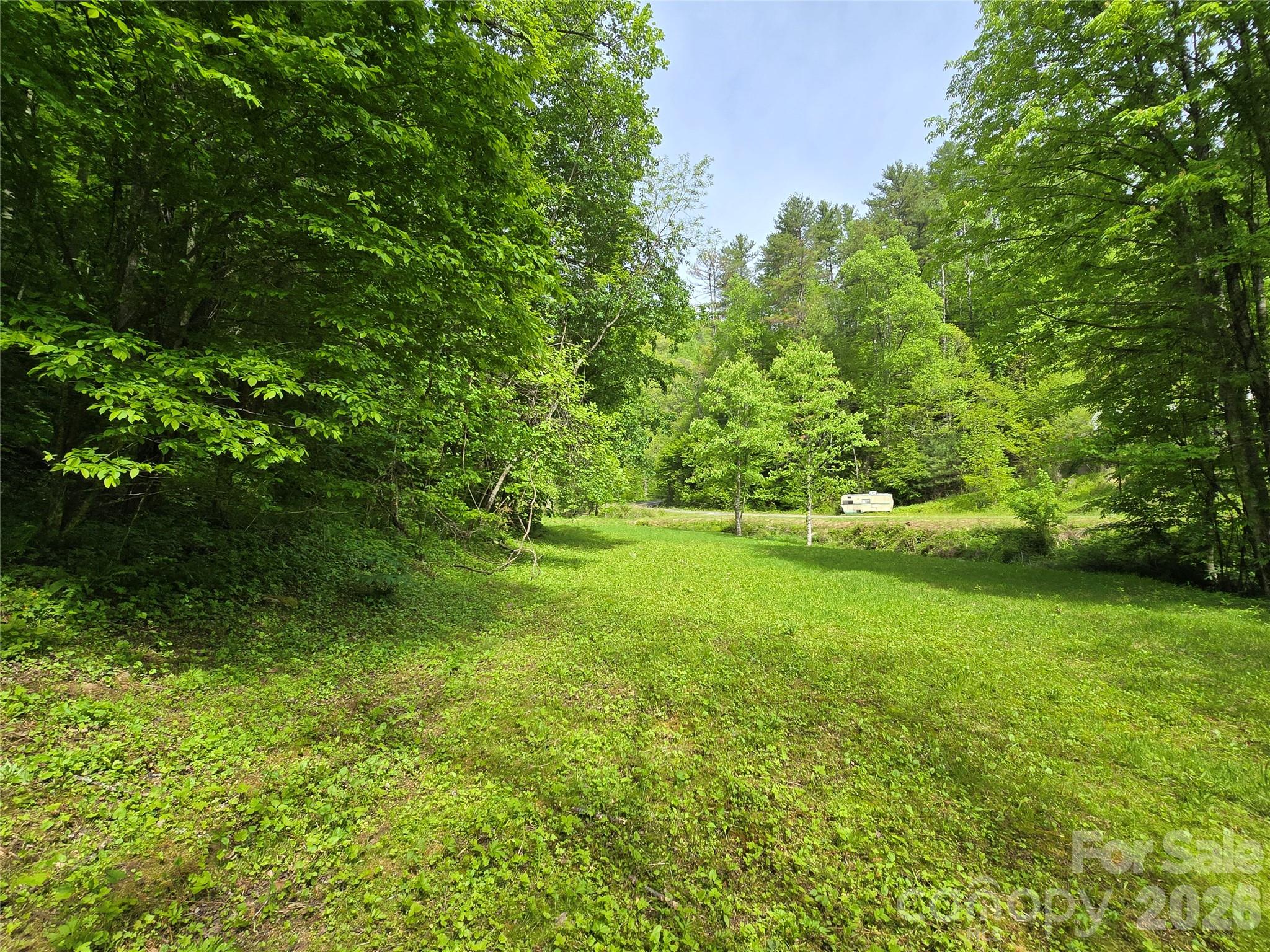 99999 Roaring Fork Road Mars Hill, NC 28754 - Photo 9 of 22