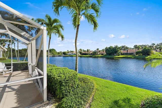 a view of a lake with a palm trees