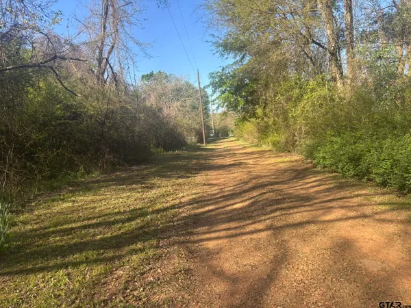 a view of a yard with large trees