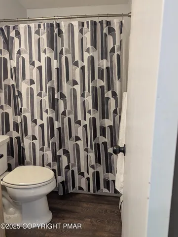 a bathroom with a toilet and a shower curtain