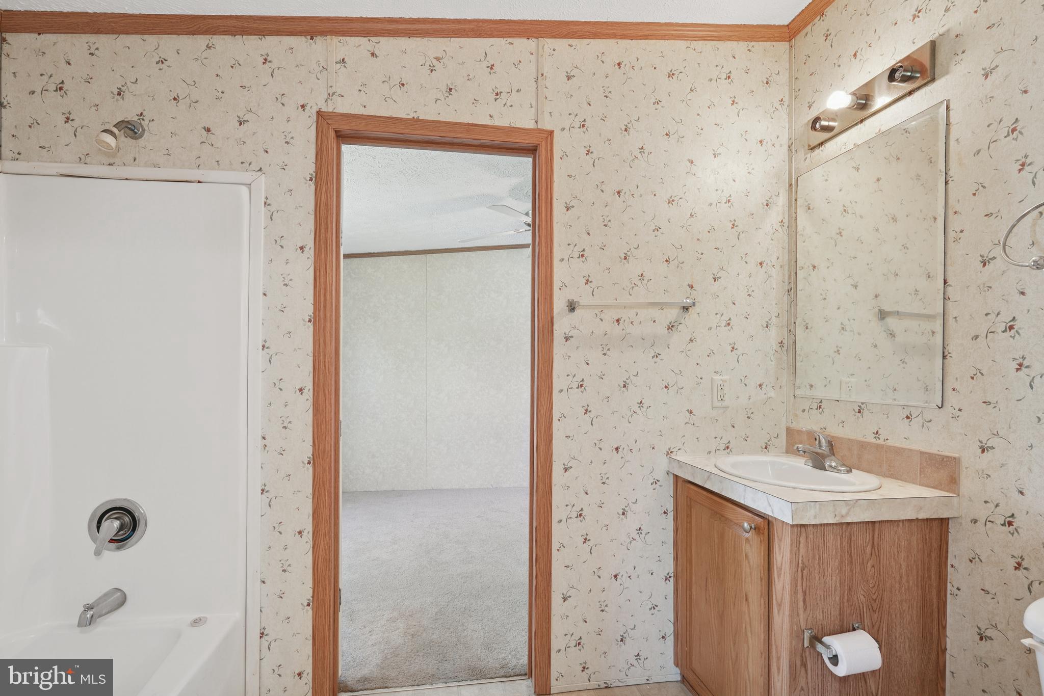 41 North Dragon Drive Bear, DE 19701 - Photo 24 of 30 a bathroom with a sink and a mirror