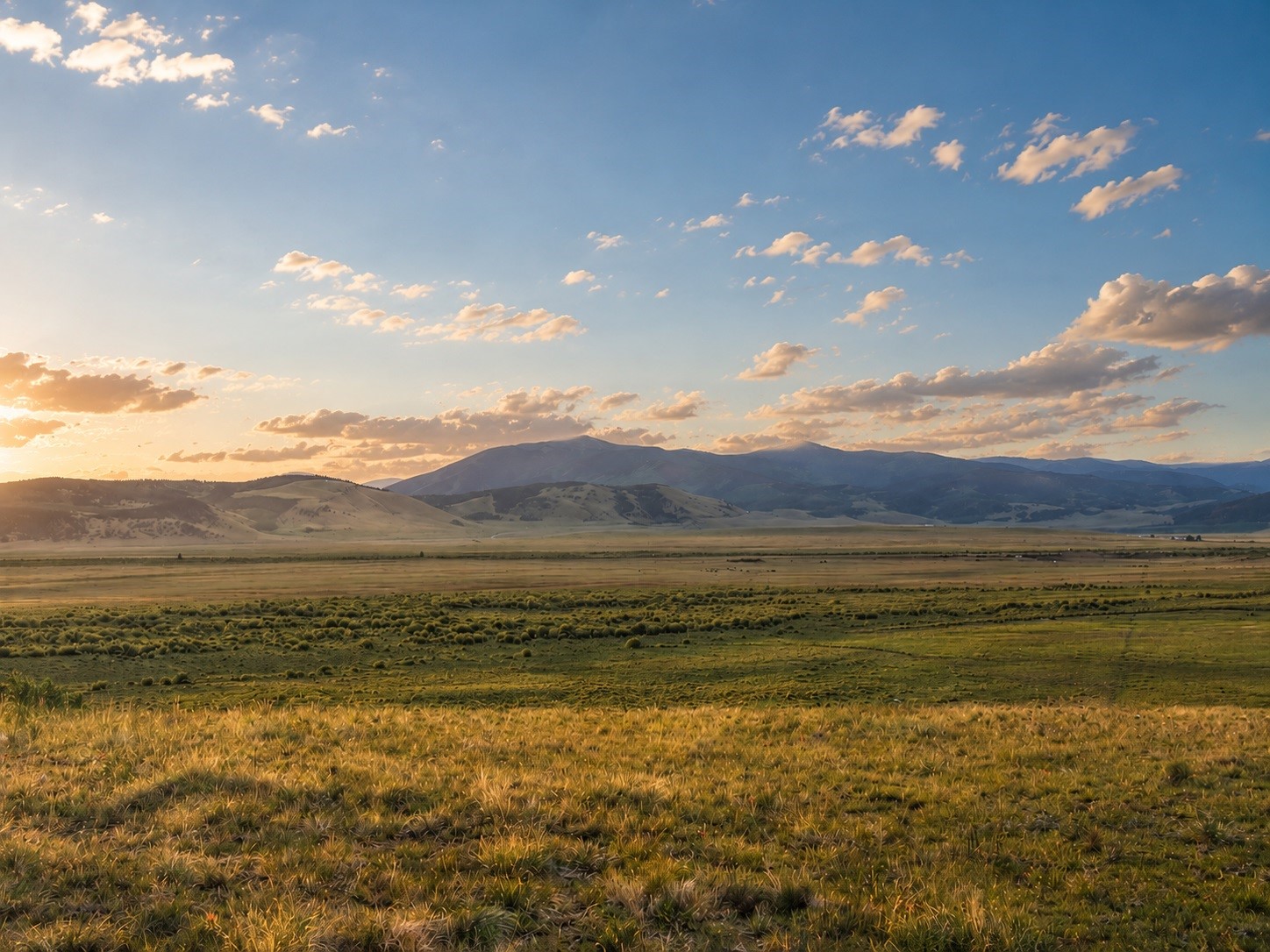 1327 Michigan Hill Road Jefferson, CO 80456 - Photo 4 of 9