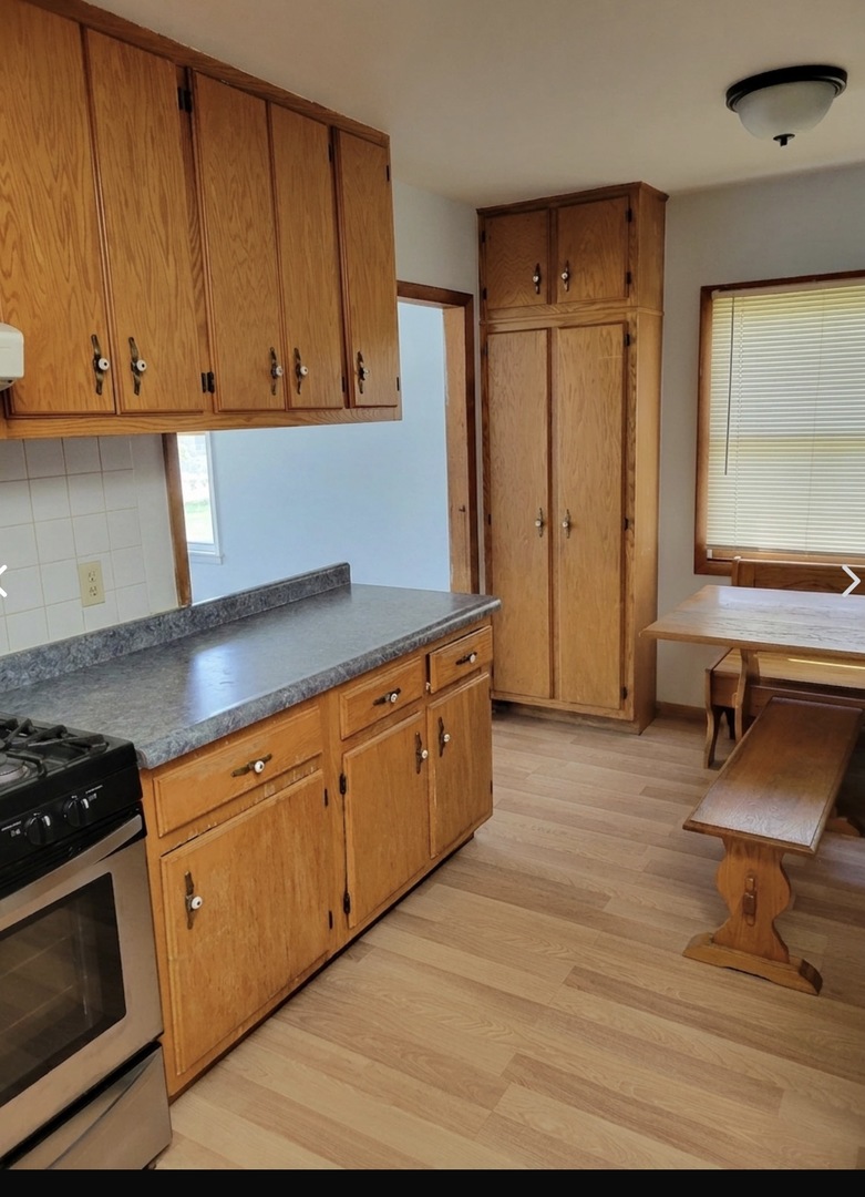 341 Hale Avenue Romeoville, IL 60446 - Photo 6 of 25