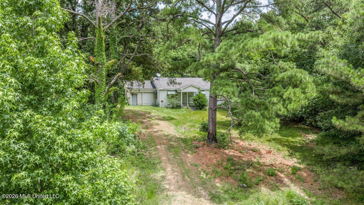 5317 Highway 3 Sarah, MS 38665 - Photo 4 of 24 IMG_1786