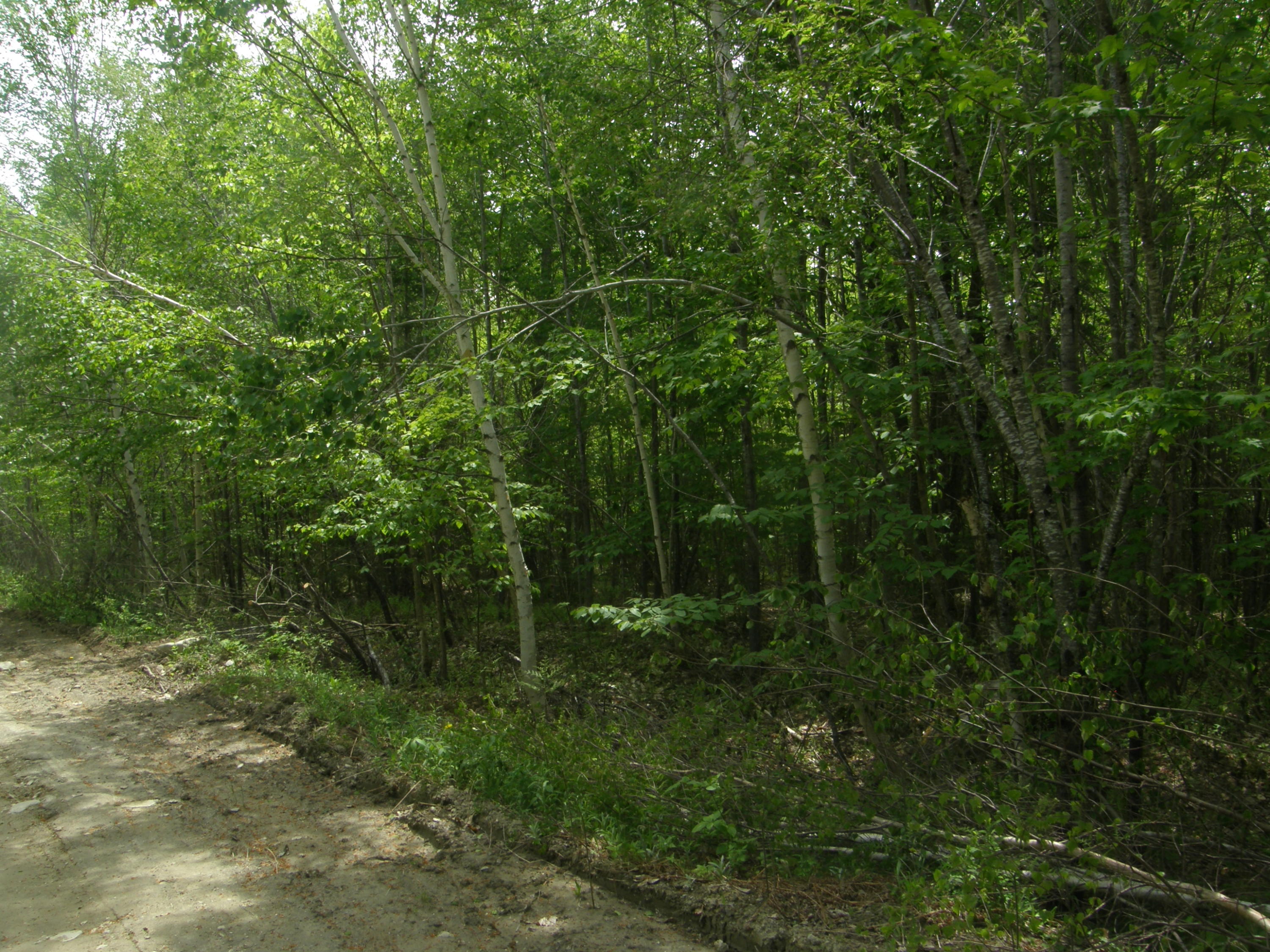 M10-l4 M10-l4 Stone Bridge Road Dexter, ME 04930 - Photo 8 of 9 P5280688