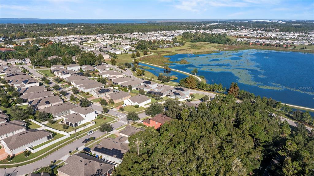 2907 Foxtail Bend Ocoee, FL 34761 - Photo 41 of 49