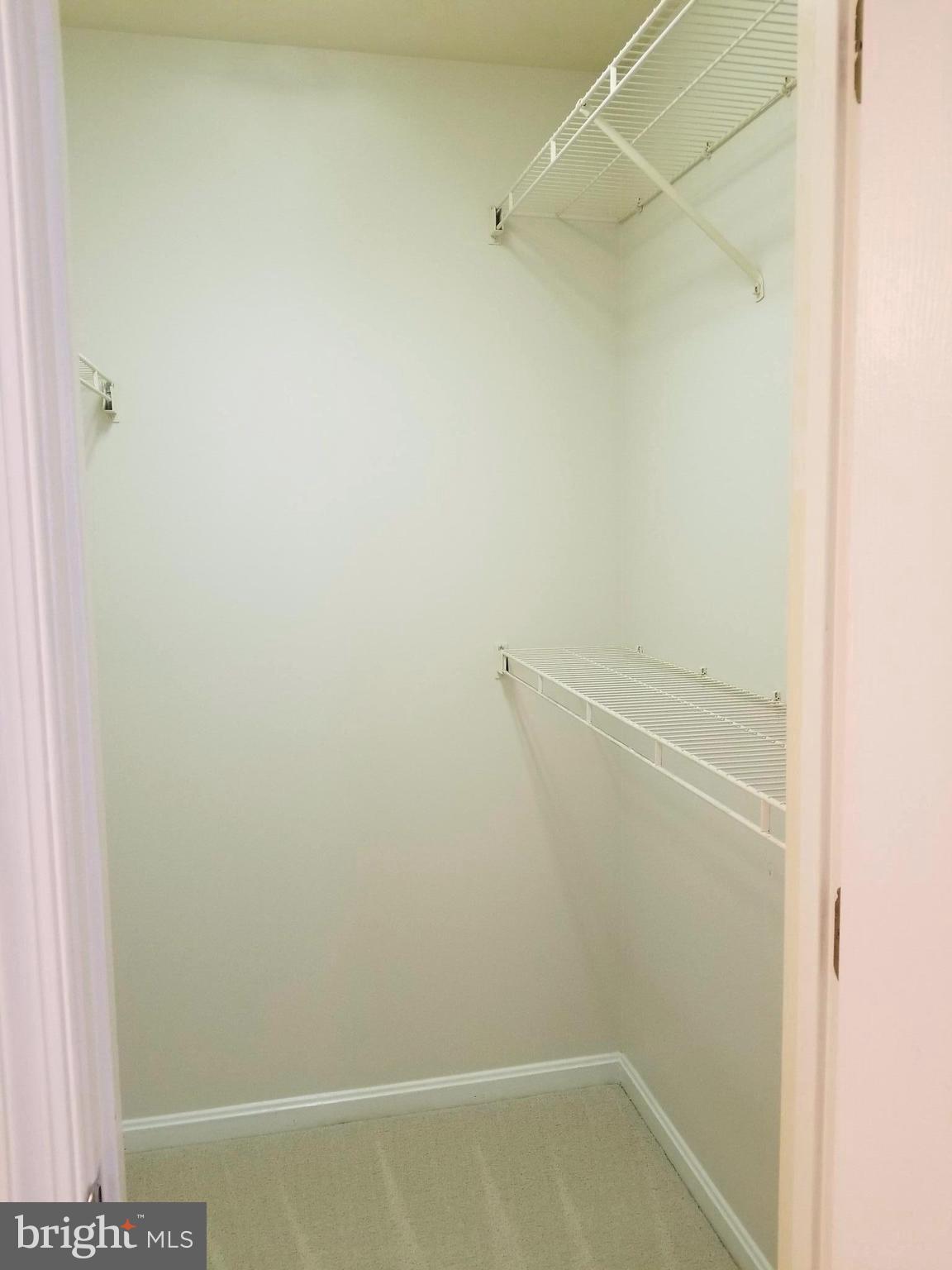 11196 Rienzi Place, Unit 203 Manassas, VA 20109 - Photo 18 of 25 Interior (General)