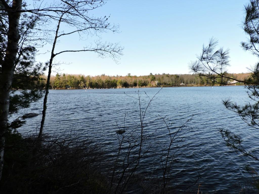 Lot #5 Short Point Way Orland, ME 04472 - Photo 4 of 11 Photo