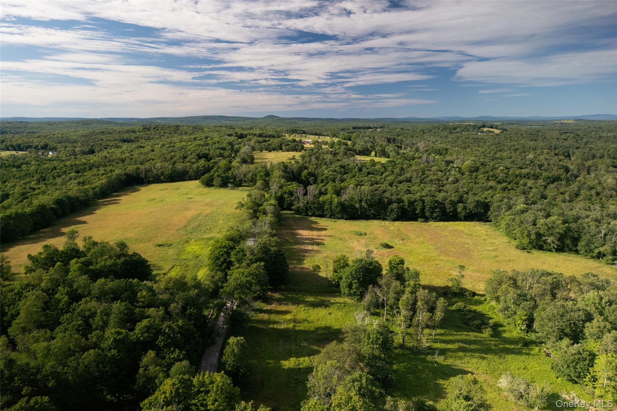 49 Crumley Van Vactor Road Ferndale, NY 12734 - Photo 4 of 50 Aerial view of property's location with a forest
