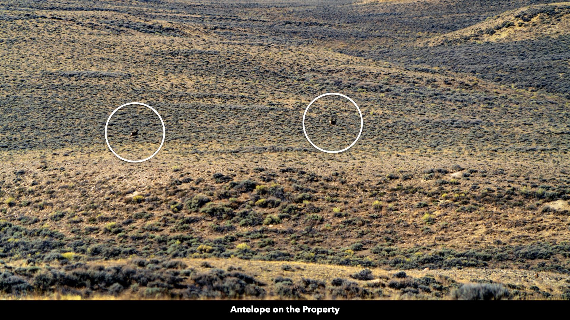 0 County Road 63 Rawlins, WY 82301 - Photo 17 of 45