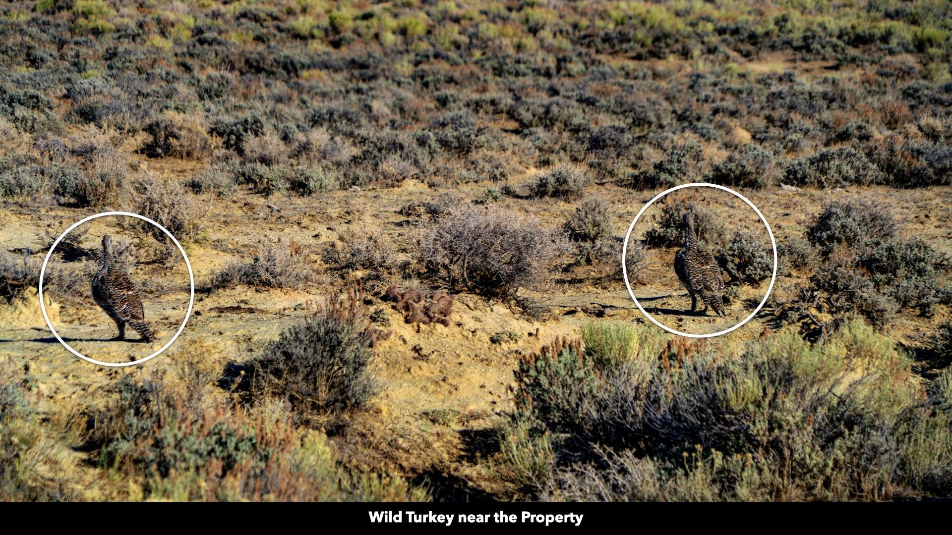 0 County Road 63 Rawlins, WY 82301 - Photo 18 of 45