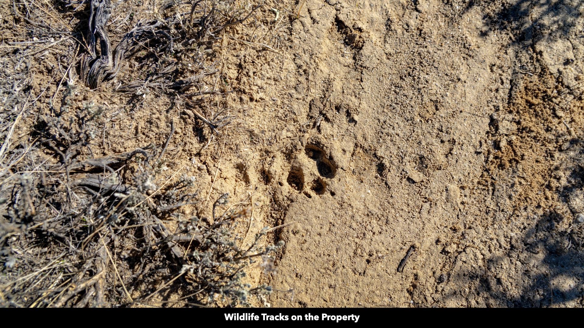 0 County Road 63 Rawlins, WY 82301 - Photo 19 of 45