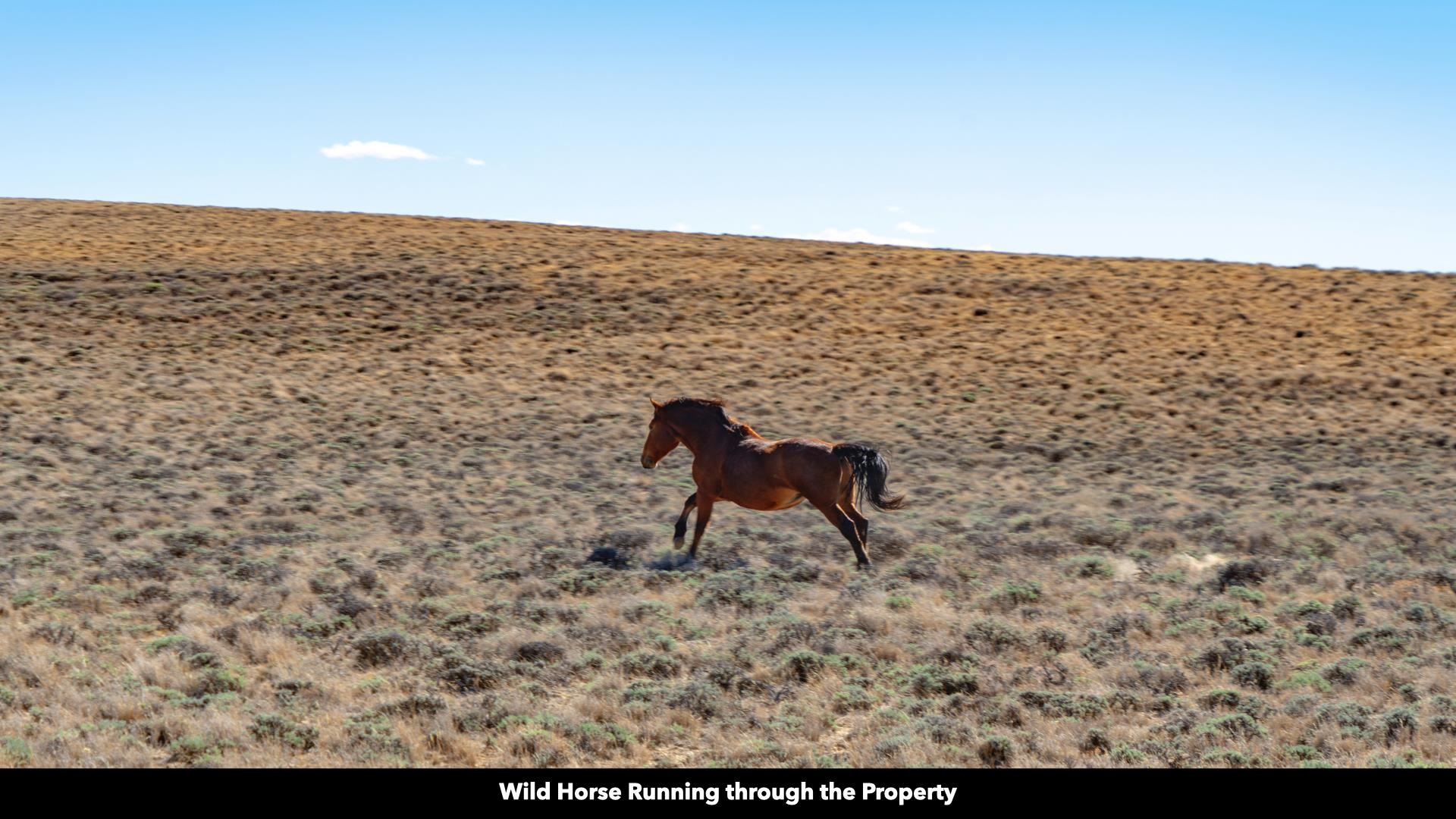 0 County Road 63 Rawlins, WY 82301 - Photo 3 of 45