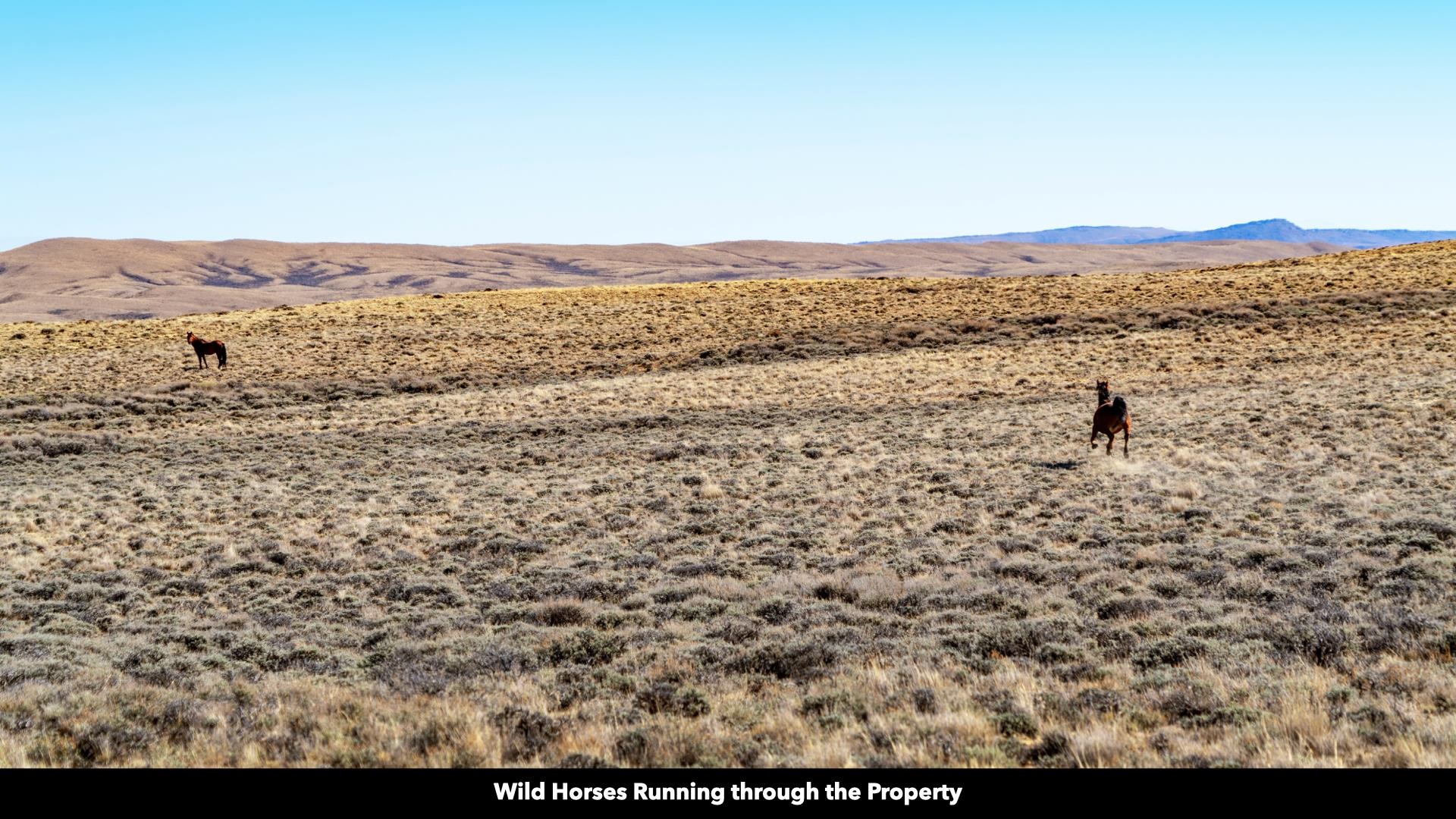 0 County Road 63 Rawlins, WY 82301 - Photo 37 of 45
