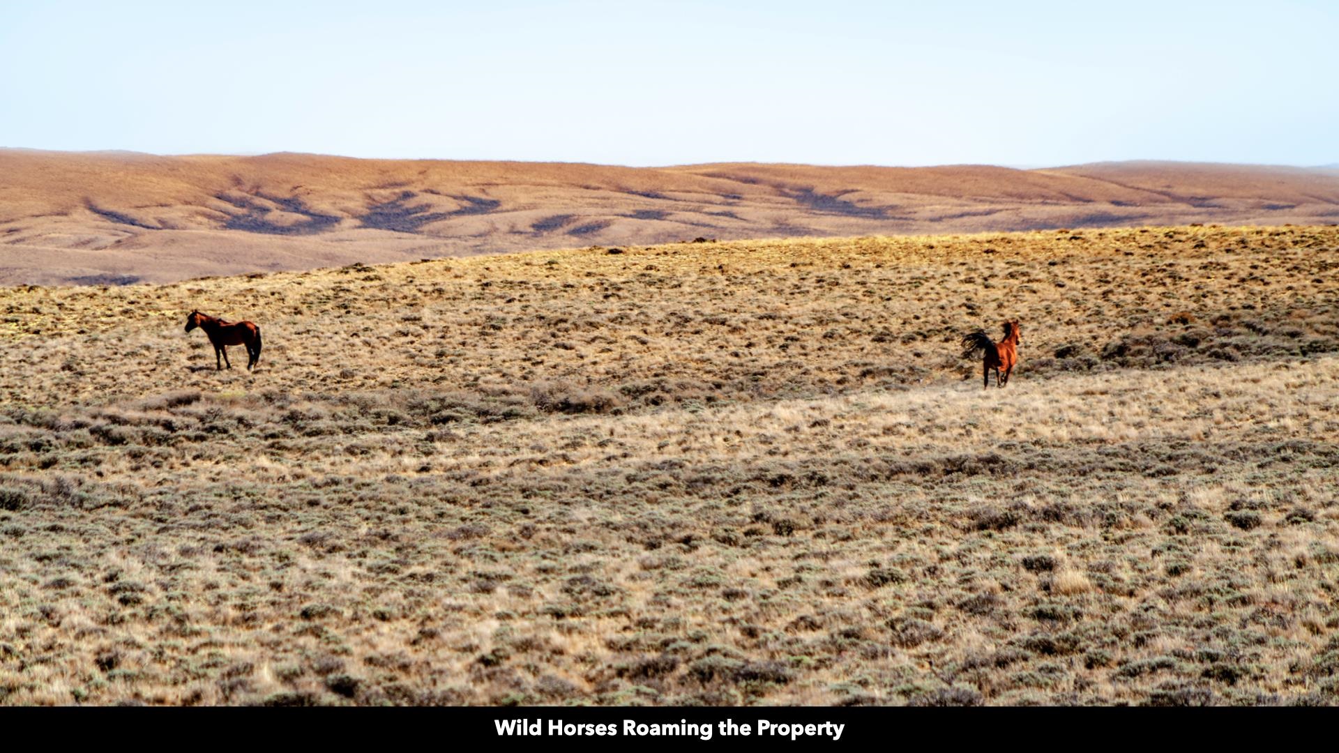 0 County Road 63 Rawlins, WY 82301 - Photo 38 of 45