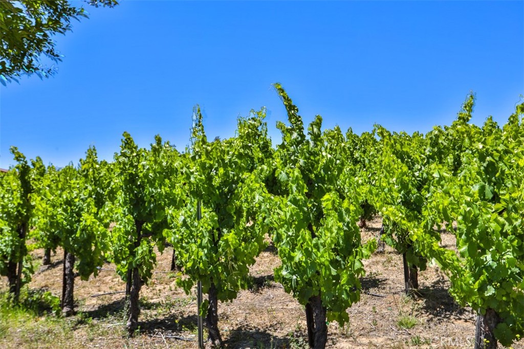 39520 Colleen Way Temecula, CA 92592 - Photo 74 of 75