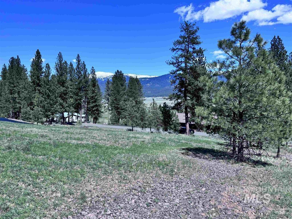 Lot 19 Hot Springs Road New Meadows, ID 83654 - Photo 26 of 28