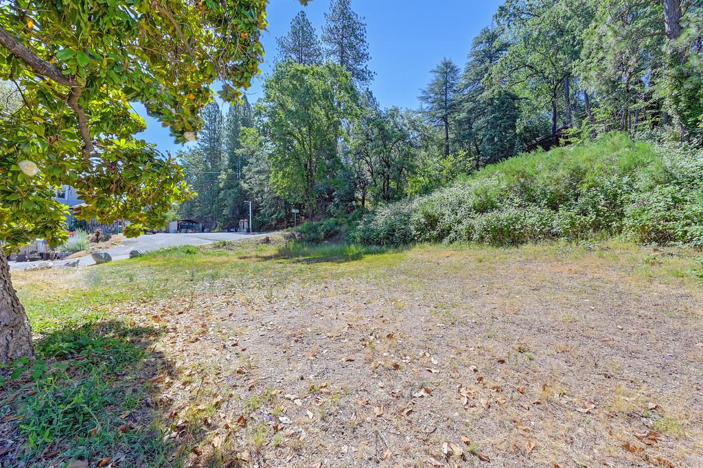 678 Main Street Placerville, CA 95667 - Photo 2 of 23 a view of a yard with a tree