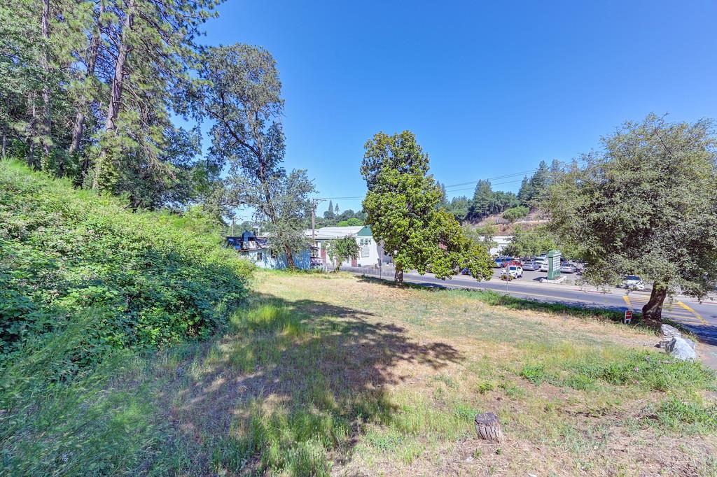 678 Main Street Placerville, CA 95667 - Photo 3 of 23 a view of a yard with plants and a bench