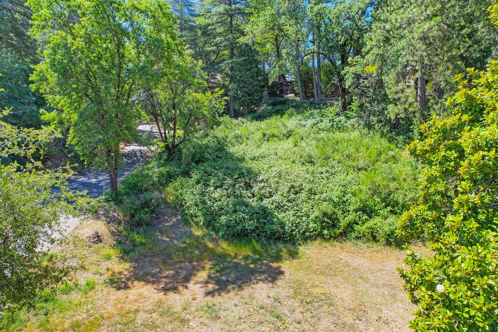 678 Main Street Placerville, CA 95667 - Photo 5 of 23 a view of a garden with plants