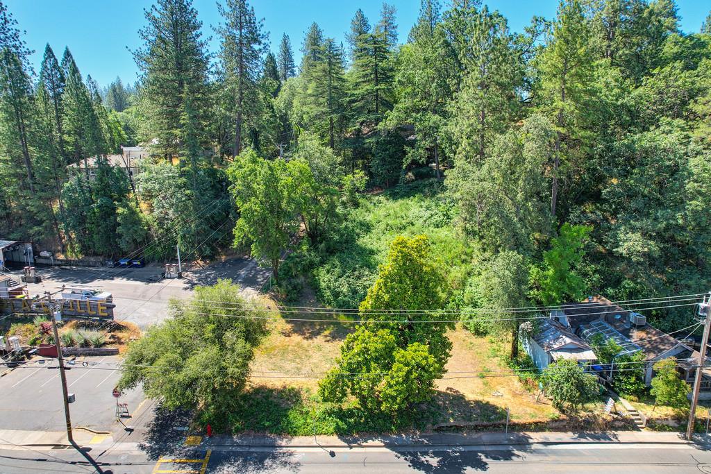 678 Main Street Placerville, CA 95667 - Photo 6 of 23 a view of yard along with trees