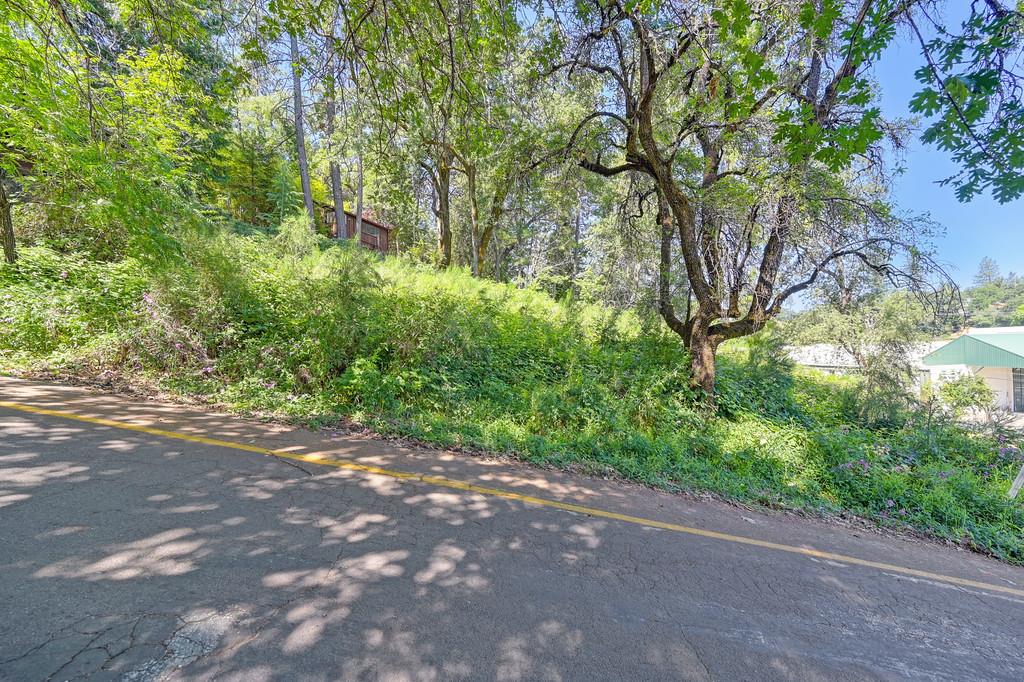 678 Main Street Placerville, CA 95667 - Photo 10 of 23 a view of a street with a tree