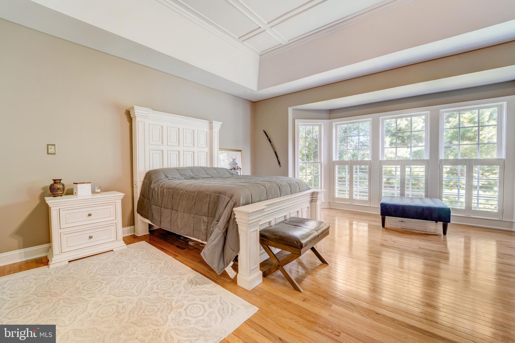 14705 McCann Farm Road Woodbine, MD 21797 - Photo 31 of 93 Main Level Primary Bedroom