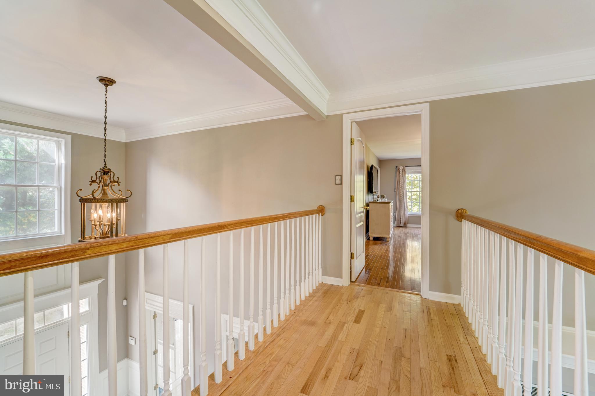 14705 McCann Farm Road Woodbine, MD 21797 - Photo 43 of 93 Cat Walk