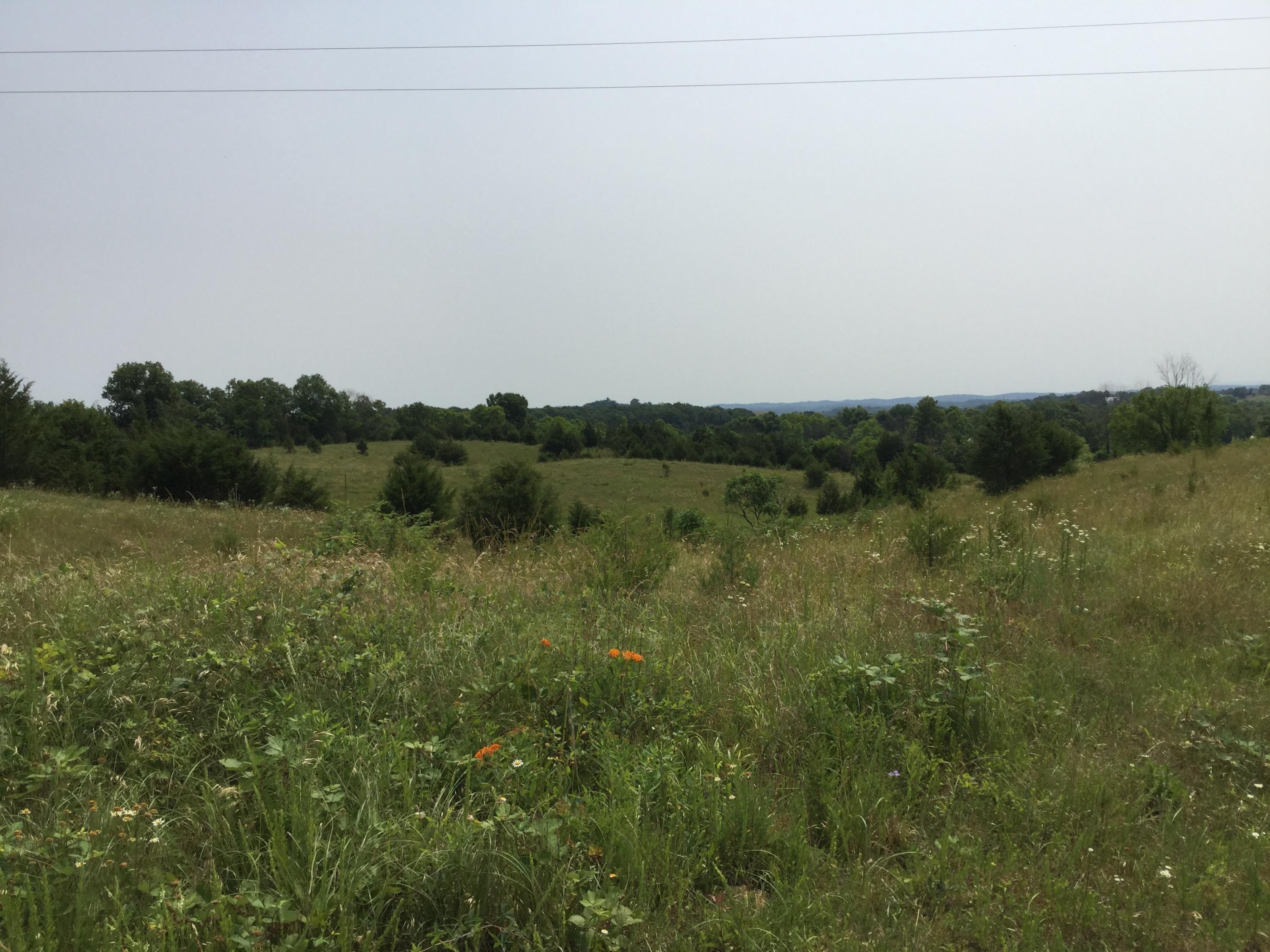 1010 Marvin Road Mosheim, TN 37818 - Photo 35 of 35 Pic 1 (5)