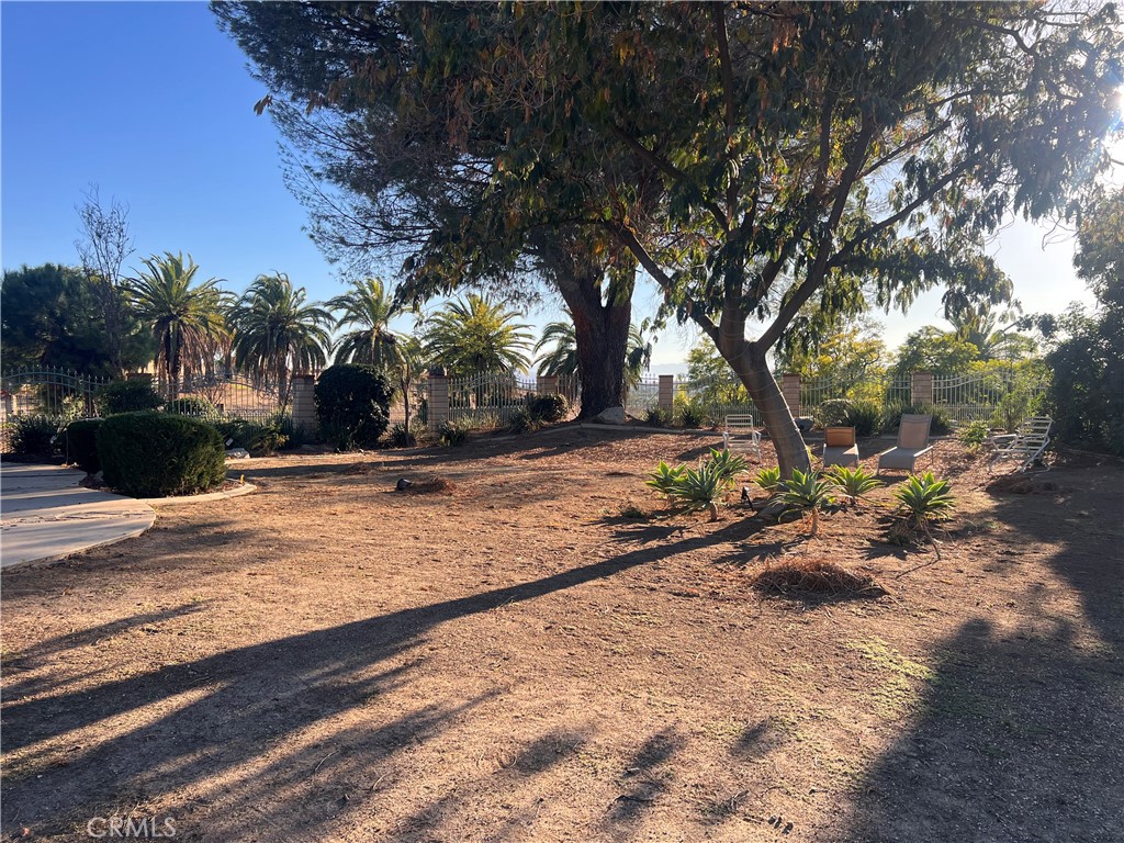 7158 Golden Vale Drive Riverside, CA 92506 - Photo 33 of 36 a view of yard with tree s